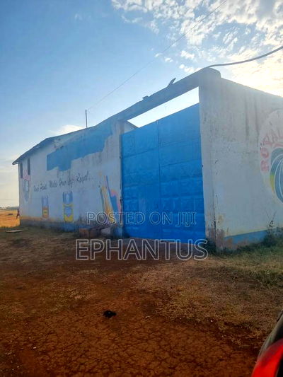 Go Down to Let in Thika - Image 2