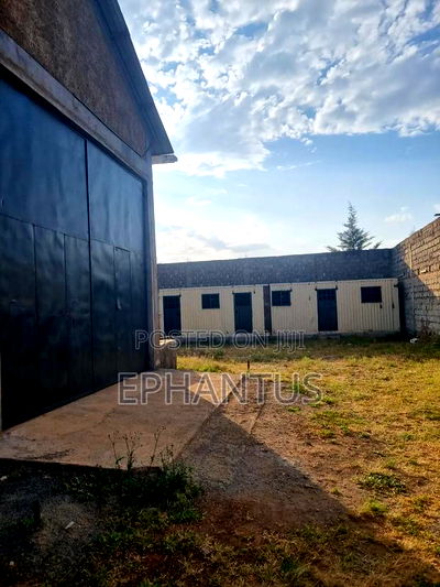 Go Down to Let in Thika - Image 1