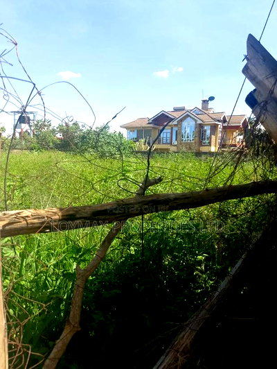 100/100 Plot on Sale in Kenyatta Road Juja. - Image 5