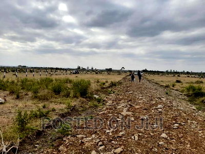 Under 2M in Kamakis- Kiratina - Image 1