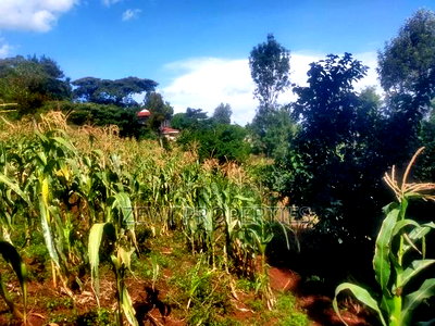 1/8 Acre Commercial Matasia Ngong - Image 2