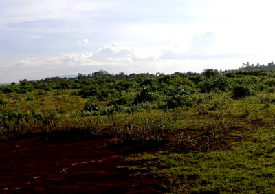 10-Acre Plot for KSh 280M