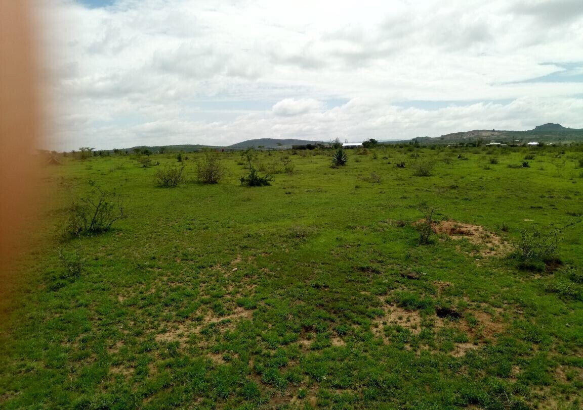 17.8-Acre Garden Land for KSh 248M