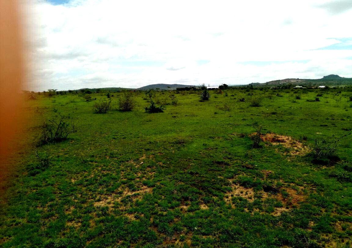 17.8-Acre Garden Land for KSh 248M