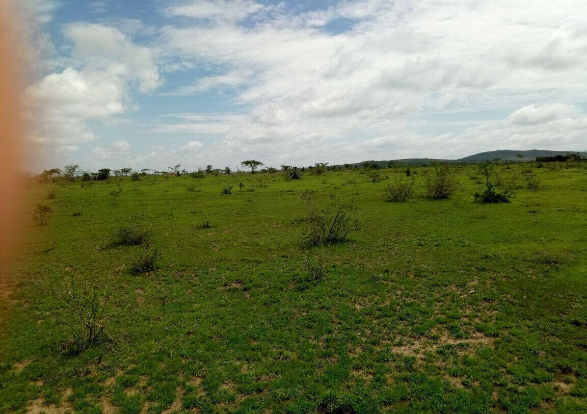 17.8-Acre Garden Land for KSh 248M