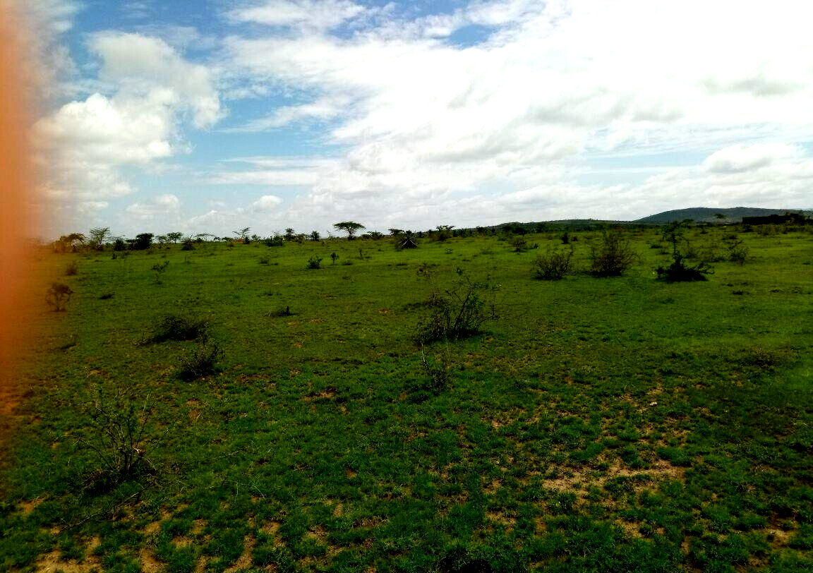 17.8-Acre Garden Land for KSh 248M