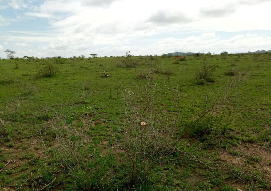 17.8-Acre Garden Land for KSh 248M