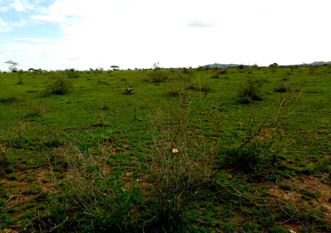 17.8-Acre Garden Land for KSh 248M