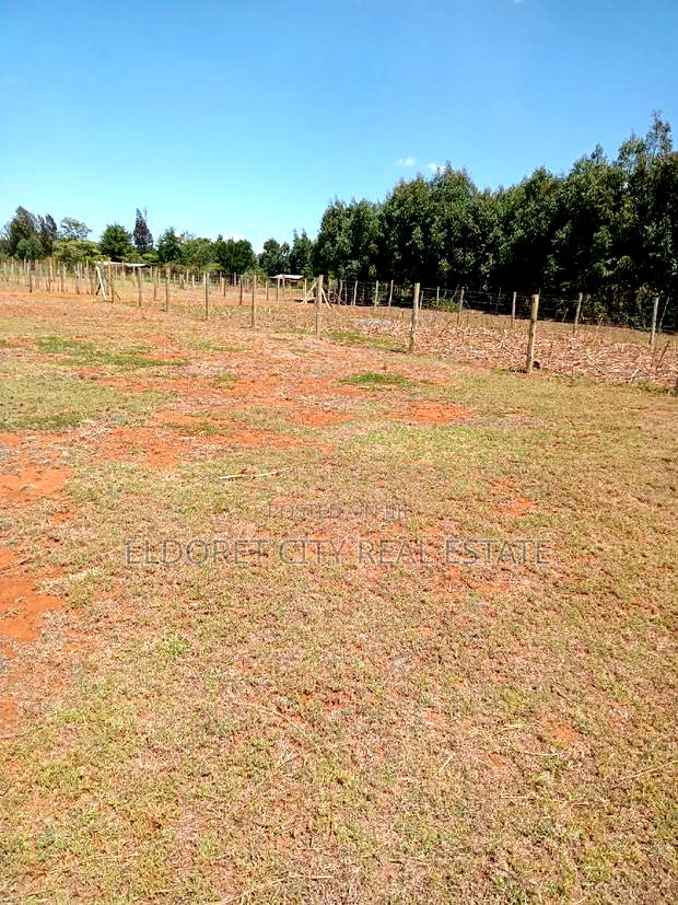 1/8 Plot Mwiruti With Title.