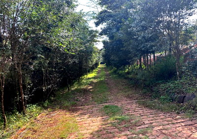 2.44-Acre Plot with Garden in Karen