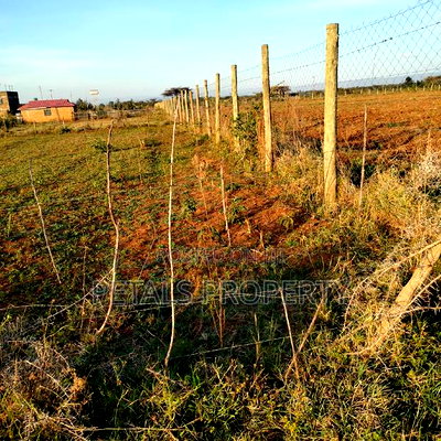 1/4 Plot for Sale in Kabarak Gichuru - Image 2