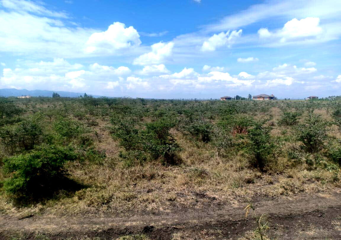 1 Acre Plot for KSh 4M