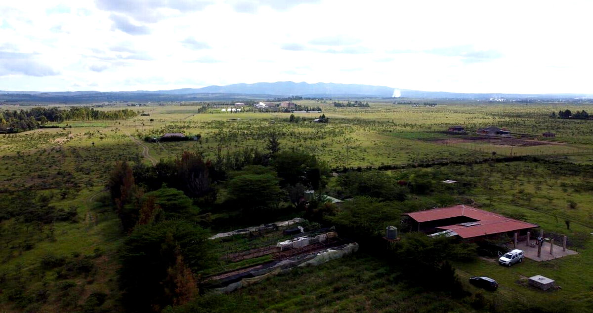 1 Acre Plot for KSh 4M