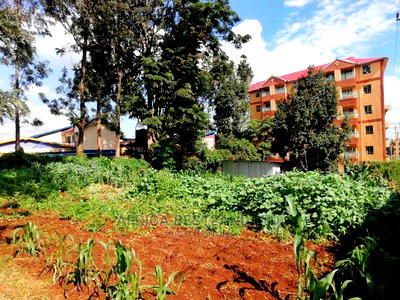 100x100 Ft Plot for Sale in Kabete Wangige - Image 1