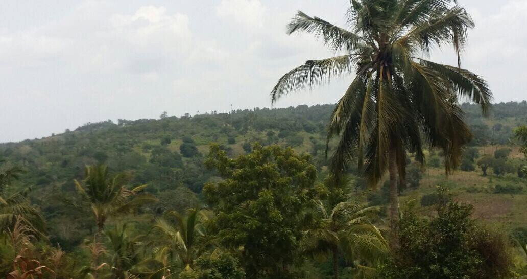 10.5-Acre Vipingo Plot for KSh 14.5M