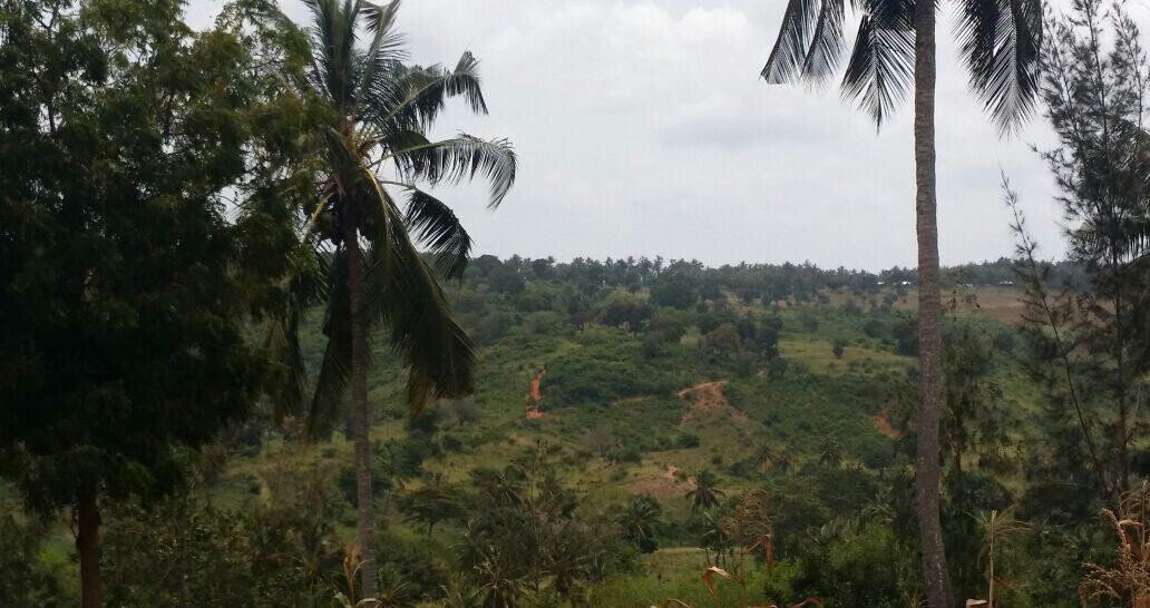 10.5-Acre Vipingo Plot for KSh 14.5M