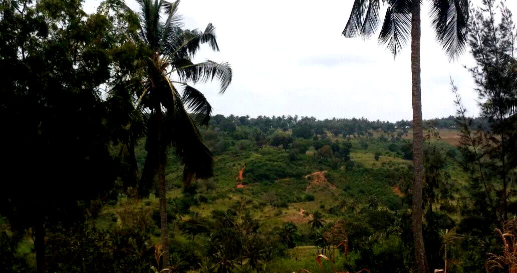 10.5-Acre Vipingo Plot for KSh 14.5M