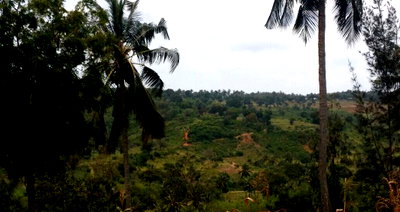 10.5-Acre Vipingo Plot for KSh 14.5M