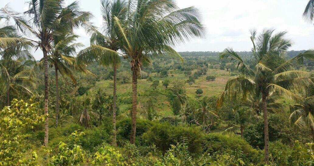 10.5-Acre Vipingo Plot for KSh 14.5M