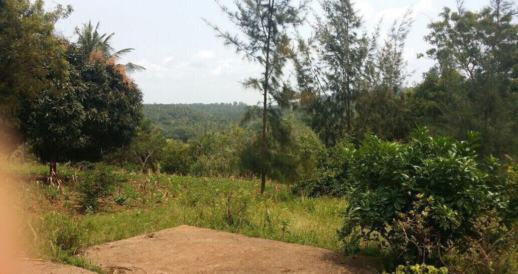 10.5-Acre Vipingo Plot for KSh 14.5M
