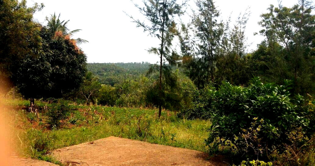 10.5-Acre Vipingo Plot for KSh 14.5M
