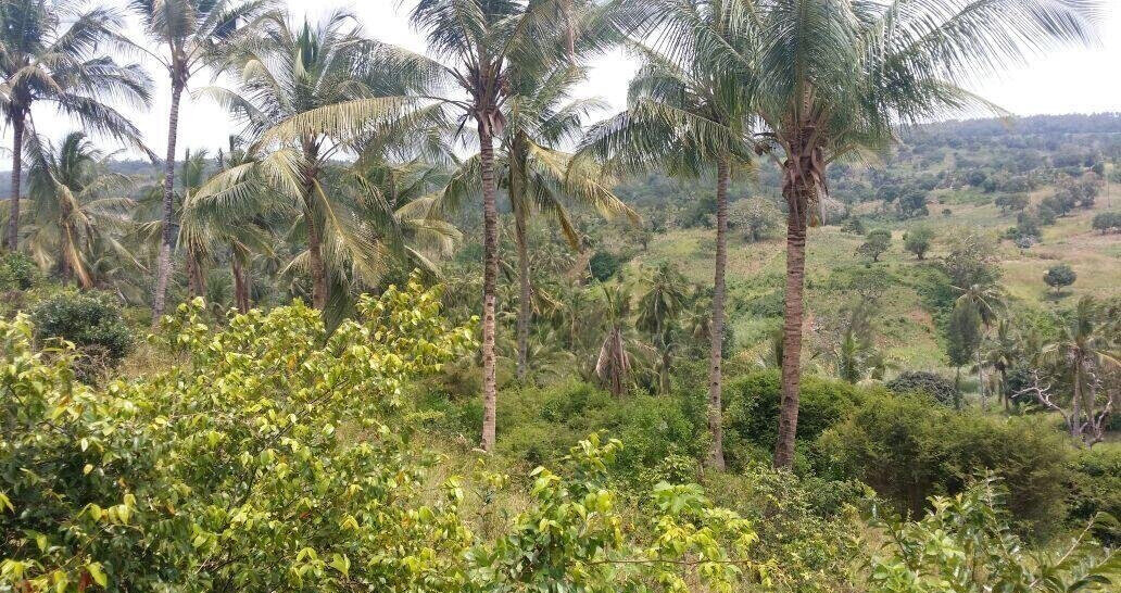 10.5-Acre Vipingo Plot for KSh 14.5M