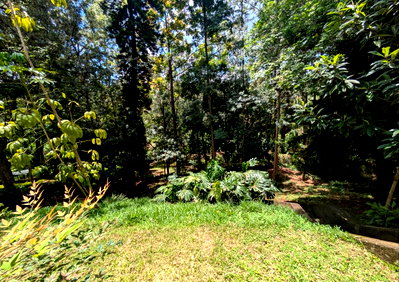 1-Acre Kyuna Plot for KSh 120M