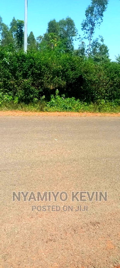 Bondo Koyucho - Image 4