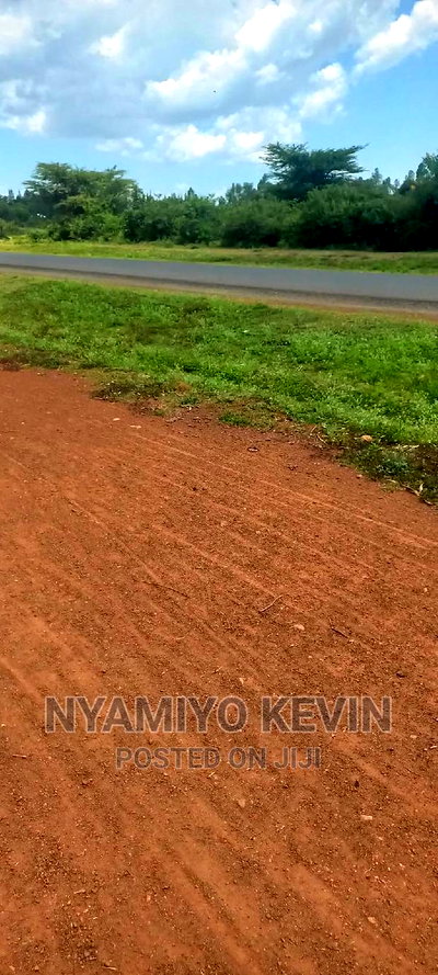 Bondo Koyucho - Image 5