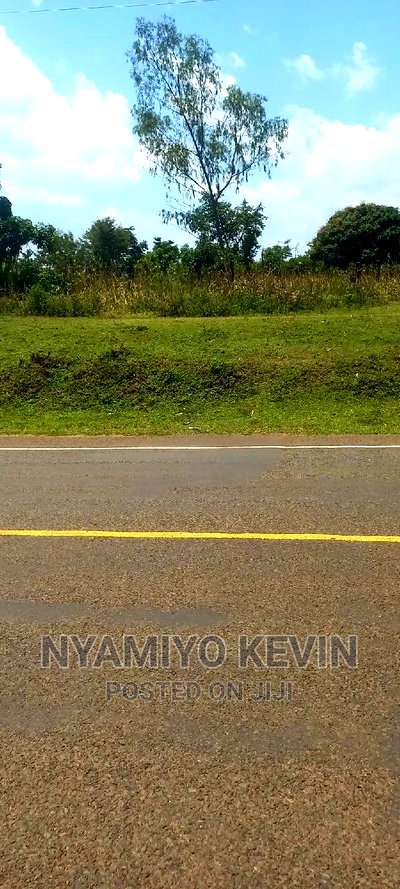 Bondo Koyucho - Image 3