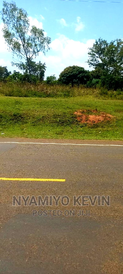 Bondo Koyucho - Image 2