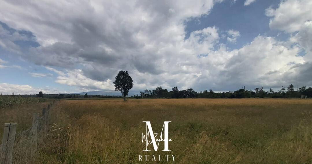 2-Acre Plot at KSh 22M