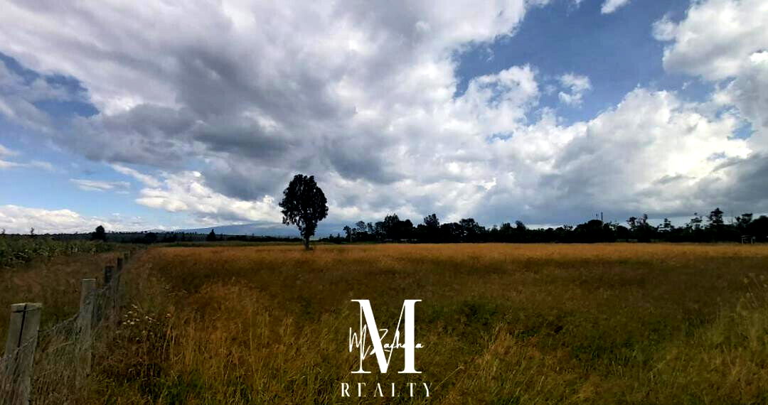 2-Acre Plot at KSh 22M