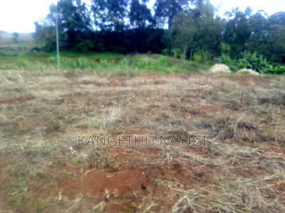 Cheap 40x80 Plot Anmer Estate - Image 6