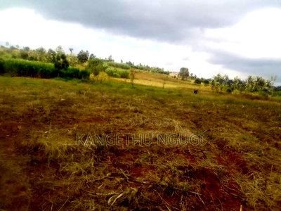 Cheap 40x80 Plot Anmer Estate - Image 1