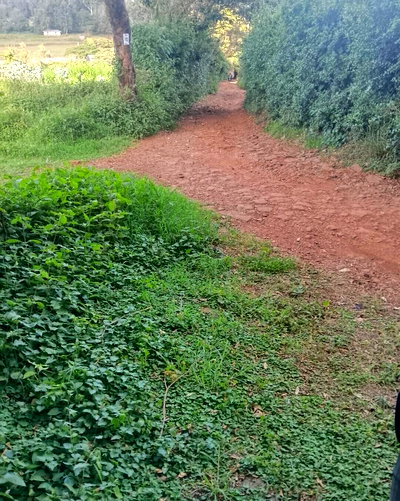 1.2 Acre Plot with Garden in Ngong