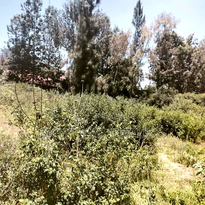 Nanyuki/Chuma - Image 3
