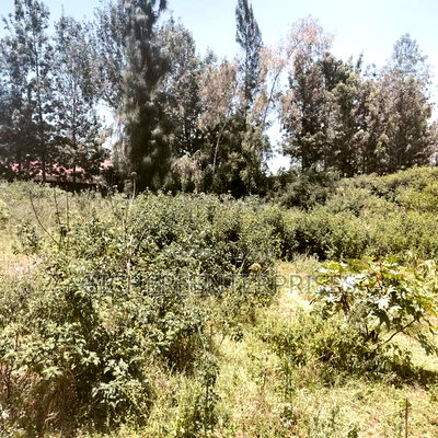 Nanyuki/Chuma - Image 4
