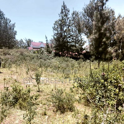 Nanyuki/Chuma - Image 2