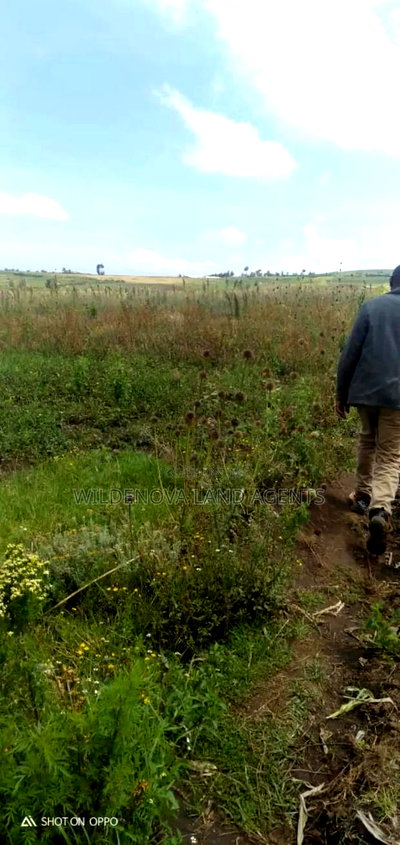 5 Acres on Sale at Kiabogo Longonot Naivasha - Image 4