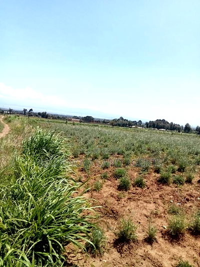 5 Acres on Sale at Kiabogo Longonot Naivasha - Image 2