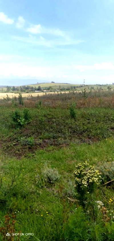 5 Acres on Sale at Kiabogo Longonot Naivasha - Image 3