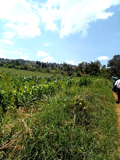 5 Acres on Sale at Kiabogo Longonot Naivasha - Image 1