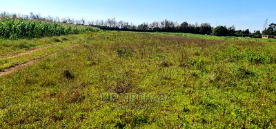 Prime Plots on Sale in Marura Kimumu Near Highway in Eldoret - Image 6