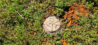 Prime Plots on Sale in Marura Kimumu Near Highway in Eldoret - Image 4