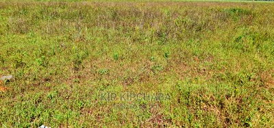 Prime Plots on Sale in Marura Kimumu Near Highway in Eldoret - Image 3