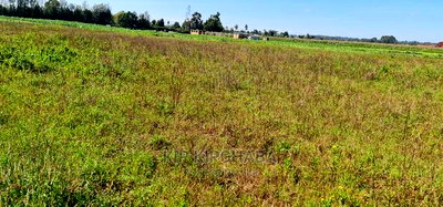 Prime Plots on Sale in Marura Kimumu Near Highway in Eldoret - Image 1