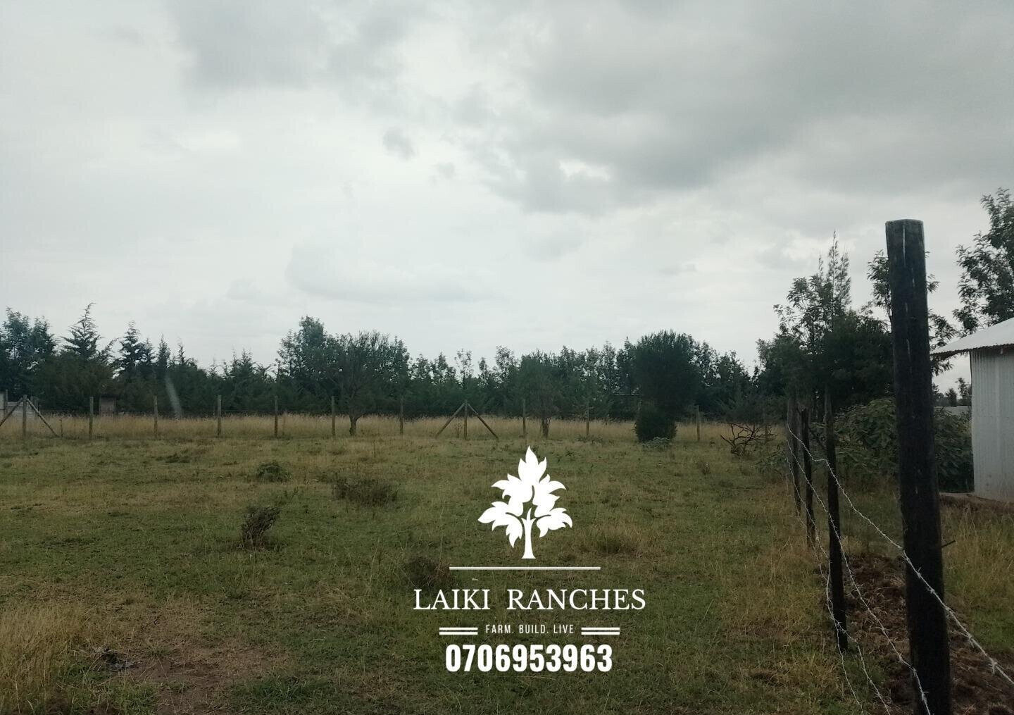 Quarter Acre Plot with Garden
