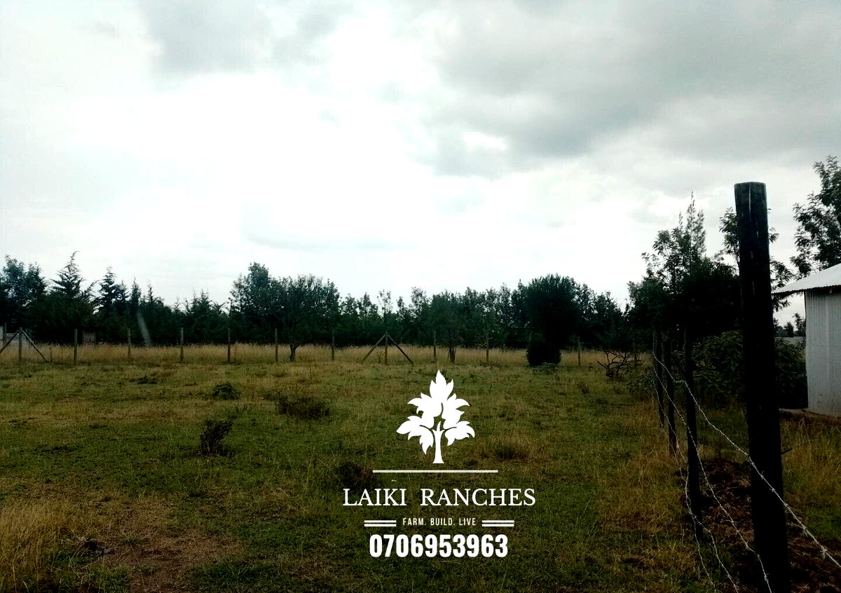 Quarter Acre Plot with Garden