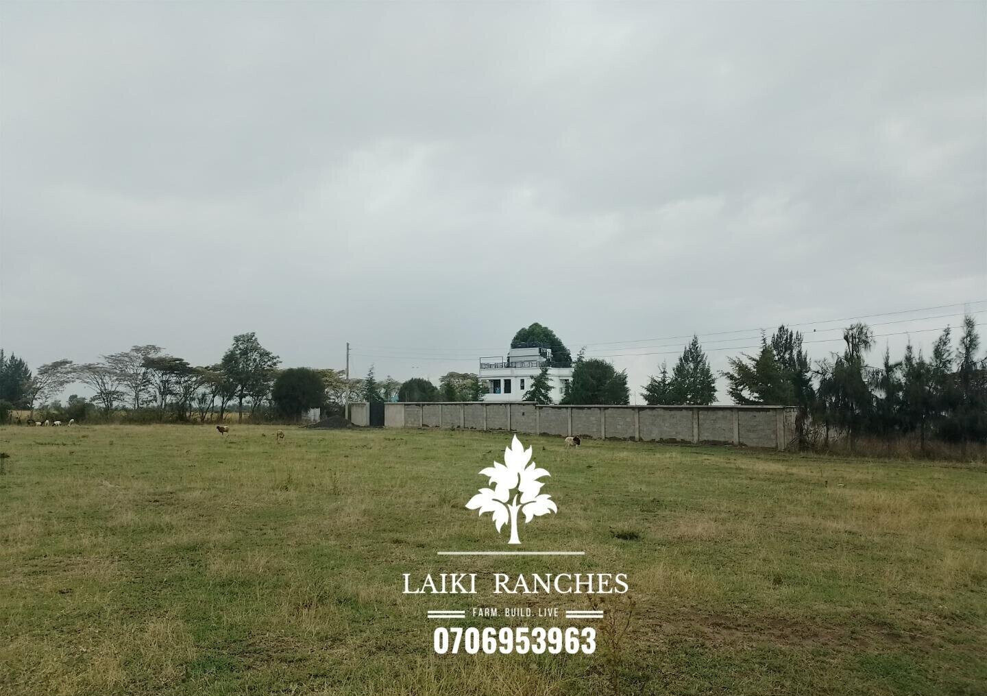 Quarter Acre Plot with Garden